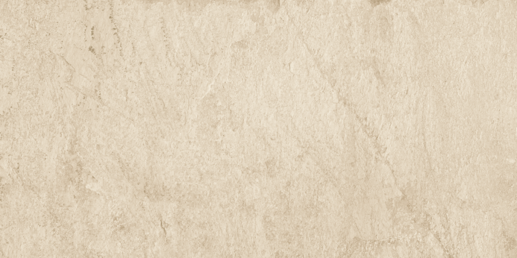 BS-1565 – BASE