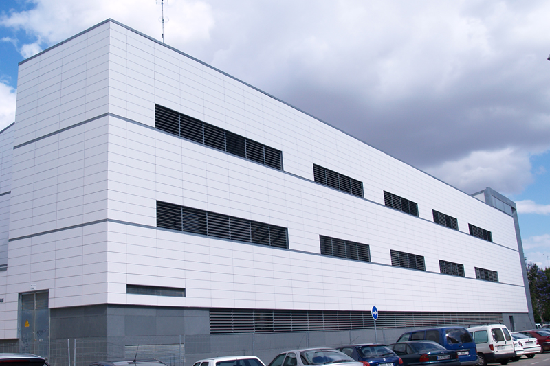 Cisneo Sevilla. España. Cisneo alto 1