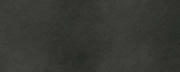 *F039 Negronat