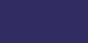 Bnc08 cobalto 495