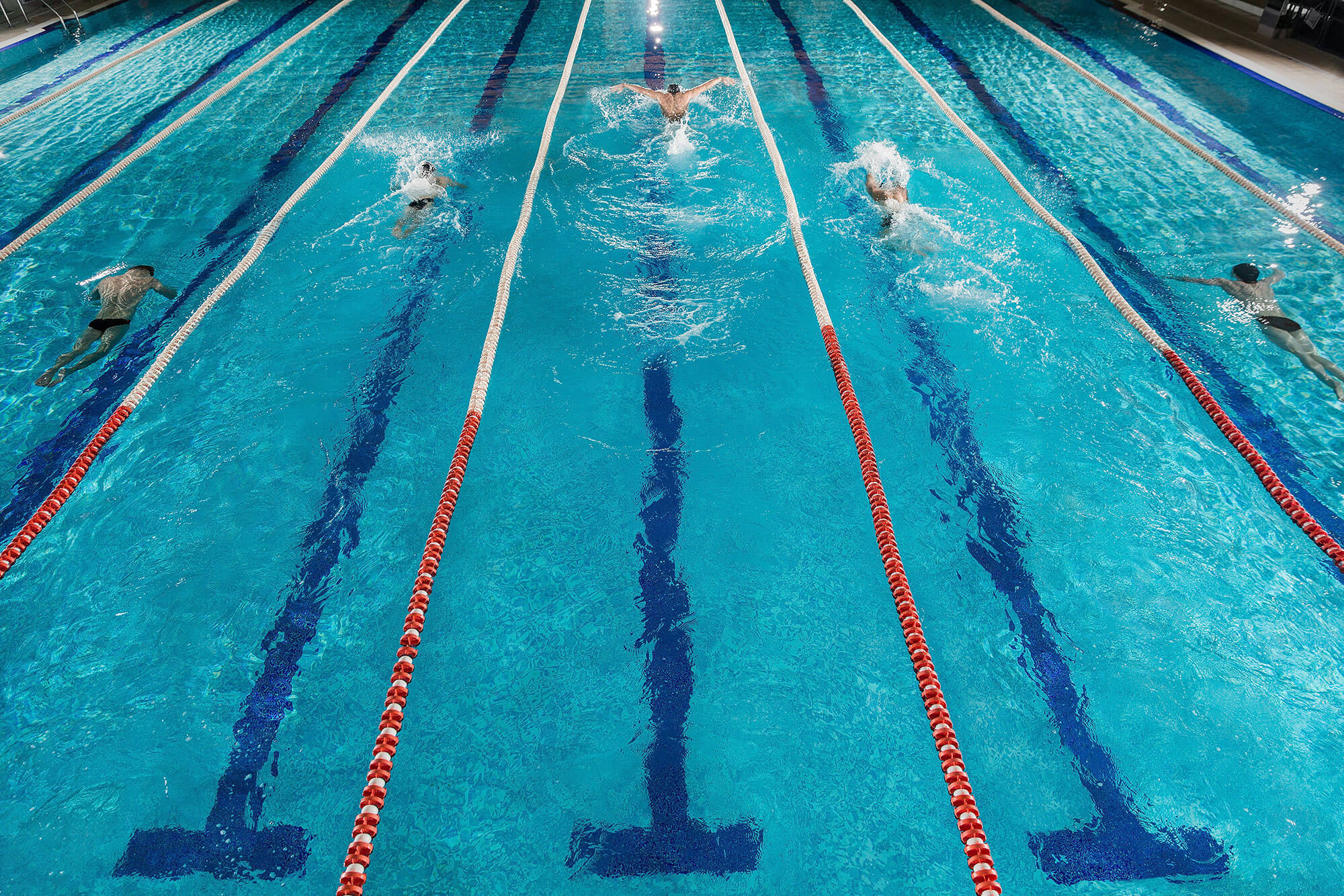 Five swimmers racing against each other in swiming pool